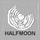windshield repair halfmoon