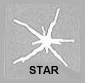 windshield repair star