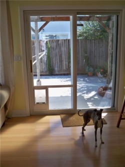 pet door in fairfield